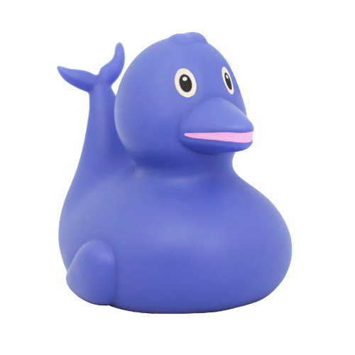 Dolphin Flipper Rubber Duck by LiLaLu | Ducks in the Window