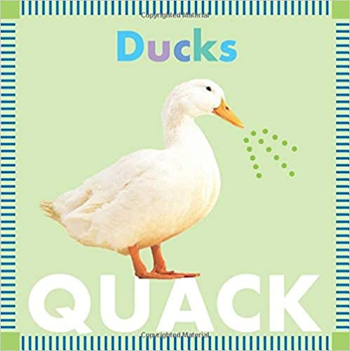 Ducks Quack Board Book | Ducks in the Window