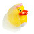 Wedding Couple Rubber Duck with bride and attached vail and groom 
 Ducks in the Window