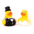 Wedding Couple Rubber Duck with bride and attached vail and groom 
 Ducks in the Window