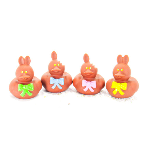 Chocolate Easter Bunny Gift Bundle Small Rubber Ducks | Ducks in the Window