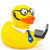 Computer Geek Rubber Duck by Schnabels | Ducks in the Window®
