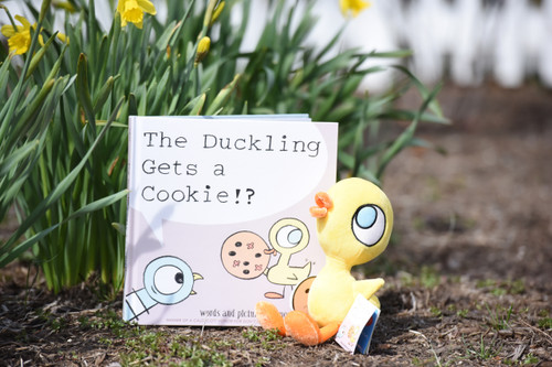 The Duckling gets a Cookie Book by Mo Willems