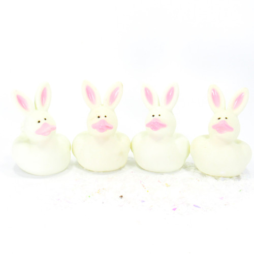 Easter Bunny Gift Bundle Small Rubber Ducks | Ducks in the Window