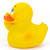 The Finger Middle Fuck You Rubber Duck by Lanco 100% Natural Toy & Organic | Ducks in the Window®