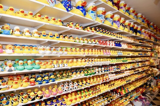 Worlds Largest Rubber Duck Shop over 3000 Styles